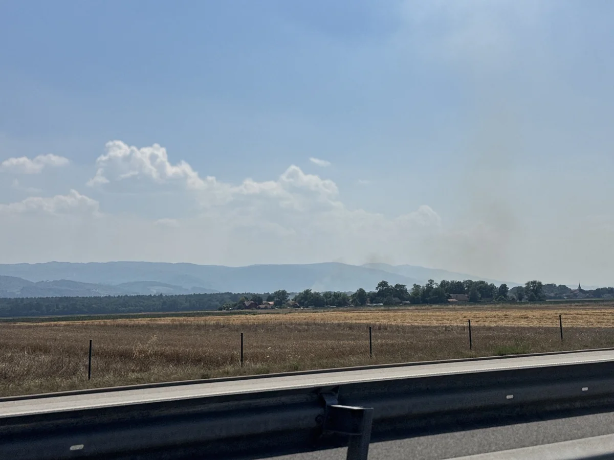 pozar gorica krsko 3
