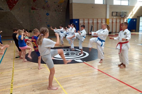 karate-klubbrezice-tabor-075D9FDFF0-5D9E-DD2B-8CB5-353D08B1434F.jpg