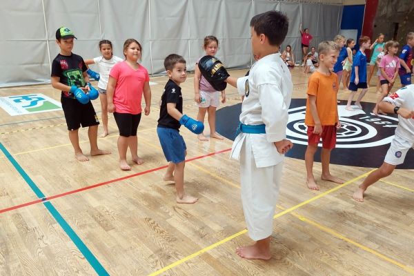 karate-klubbrezice-tabor-0844407A43-3B0B-C459-45E8-A2C4D85BE8F1.jpg