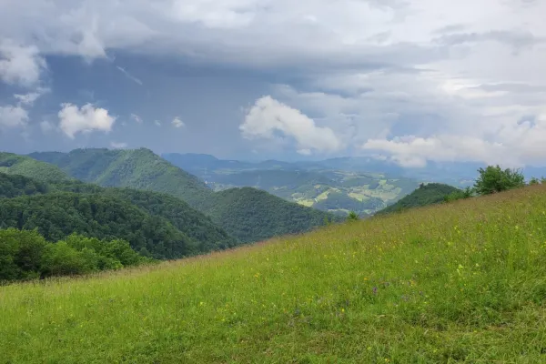 jovsi-natura-kozje-355D61BC42-FE58-F8DD-BFAE-FF5C3426D9F1.webp
