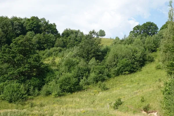 jovsi-natura-kozje-38D0BD372D-7C12-E858-198B-A0818D437911.webp