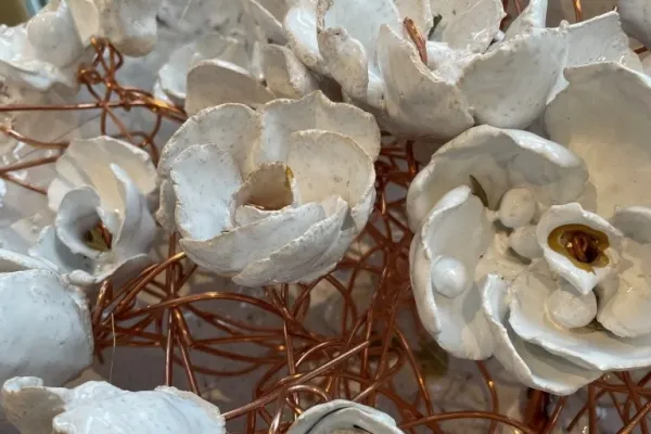 razstava-076BD907FD-C59E-DEC2-9774-CBBFD93615D9.webp